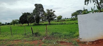 Plot Area in  Plot at Bhatagaon – for Sale