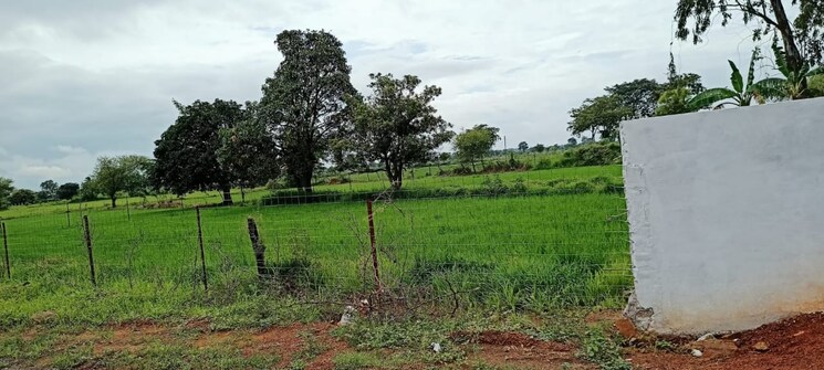 undefined, bhatagaon  11500 Sq.Ft. Plot In Bhatagaon Raipur 8894978