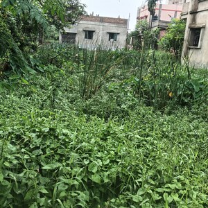  Plot For Sale in Bansdroni