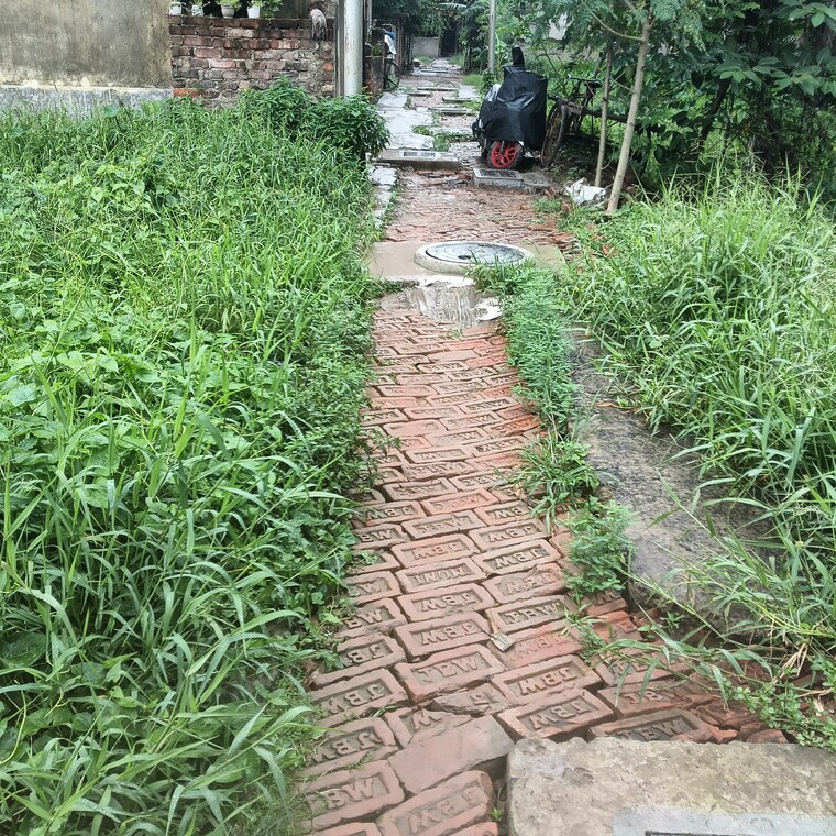 Garden, bansdroni  2160 Sq.Yd. Plot In Bansdroni Kolkata 8895027