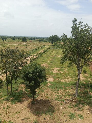 Plot Area in  Plot at Shadnagar – for Sale
