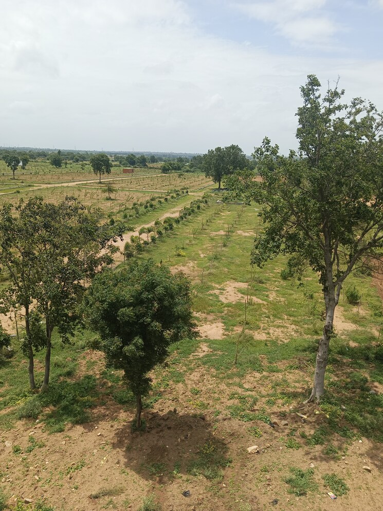 undefined, shadnagar  121 Sq.Yd. Plot In Shadnagar Hyderabad 8895188