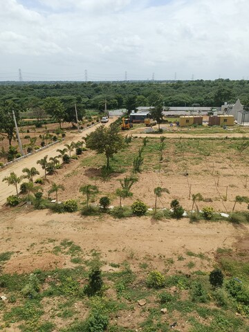 Plot Area in  Plot at Shadnagar – for Sale