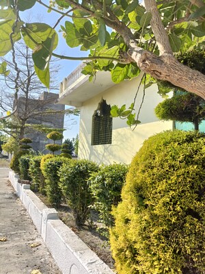  Land – Exterior View View at Ringnodiya - for Sale