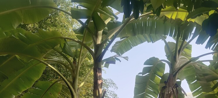 Garden, karan-bella-vista 3 Bedroom 1750 Sq.Ft. Villa In Manjari Pune 8895304