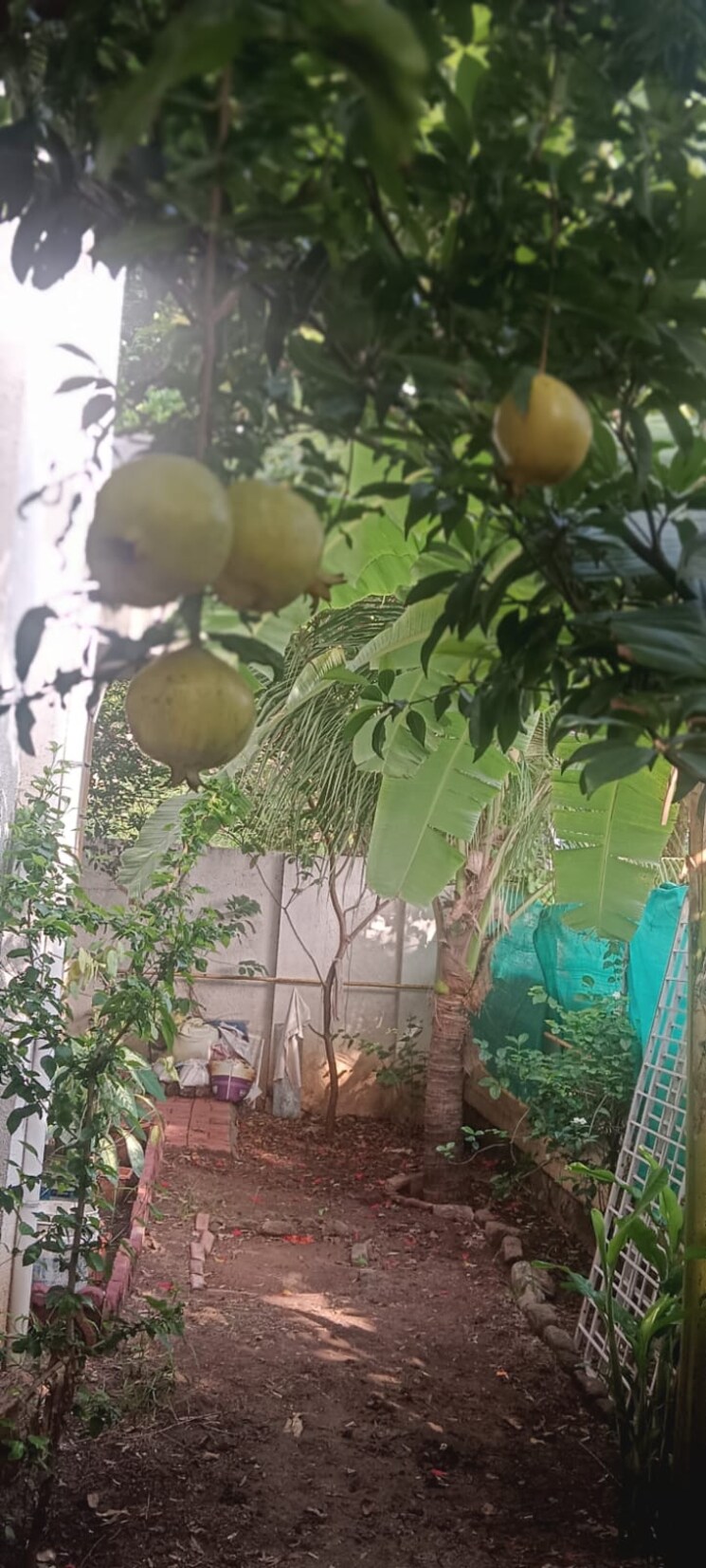 Garden, karan-bella-vista 3 Bedroom 1750 Sq.Ft. Villa In Manjari Pune 8895304