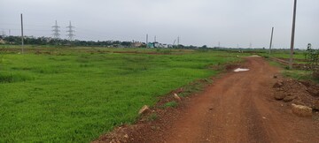 Plot Area in  Plot at Patrapada – for Sale