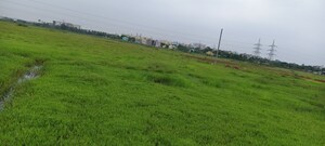Plot Area in  Plot at Patrapada – for Sale