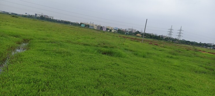 undefined, patrapada  1826 Sq.Ft. Plot In Patrapada Bhubaneswar 8895367