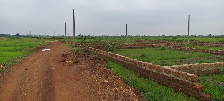 undefined, patrapada  1826 Sq.Ft. Plot In Patrapada Bhubaneswar 8895367