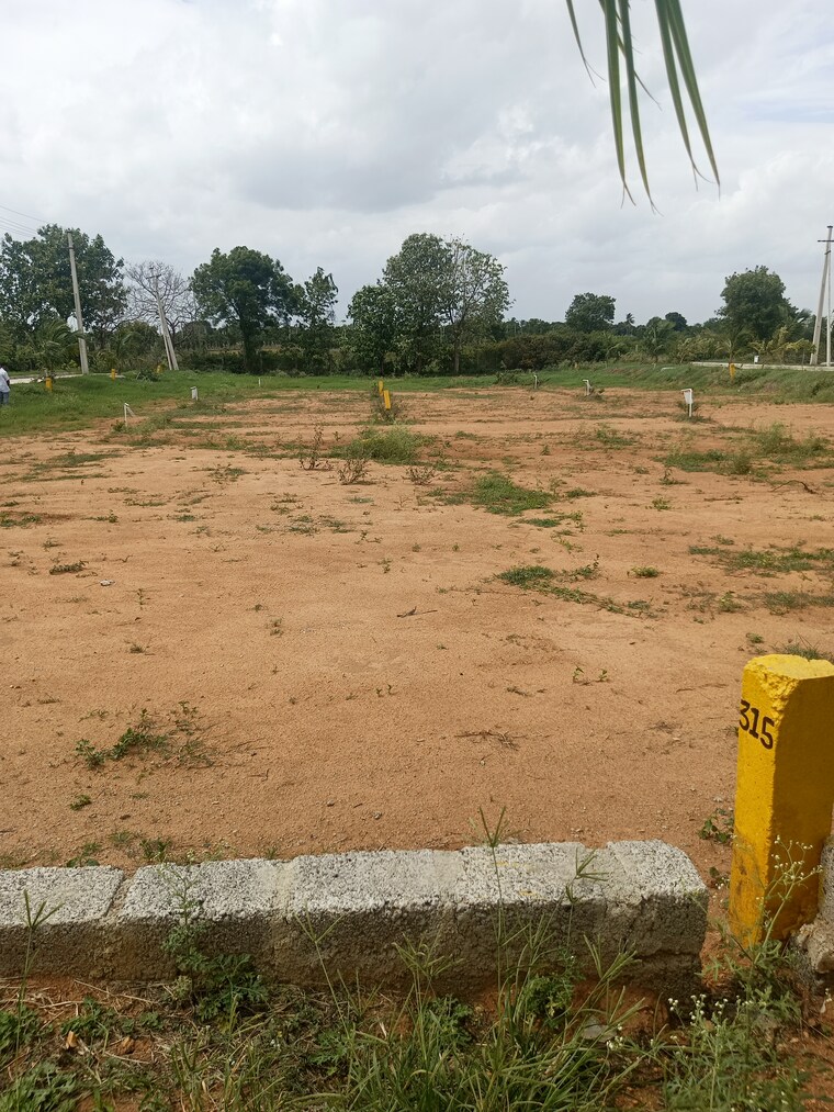 undefined, shadnagar  200 Sq.Yd. Plot In Shadnagar Hyderabad 8895382