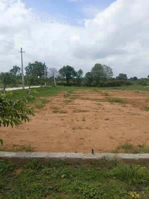 Plot Area in  Plot at Shadnagar – for Sale