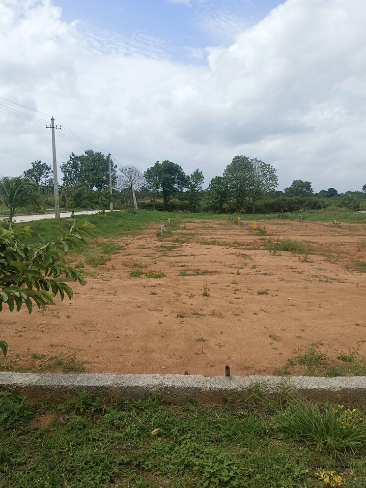 undefined, shadnagar  200 Sq.Yd. Plot In Shadnagar Hyderabad 8895382