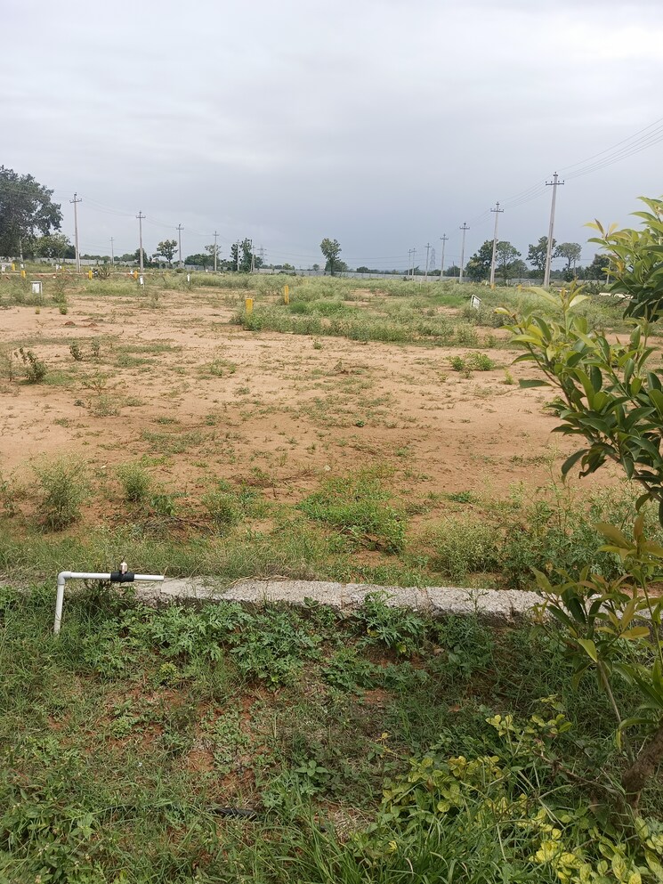 undefined, shadnagar  200 Sq.Yd. Plot In Shadnagar Hyderabad 8895382