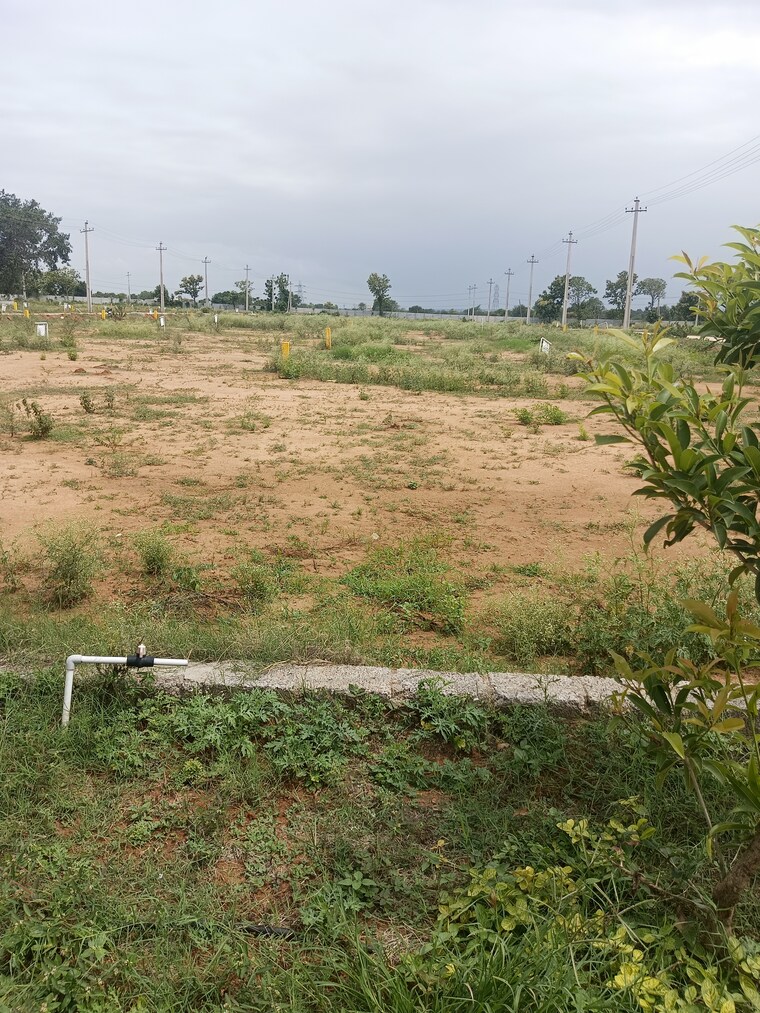 undefined, shadnagar  200 Sq.Yd. Plot In Shadnagar Hyderabad 8895382