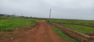 Plot Area in  Plot at Patrapada – for Sale