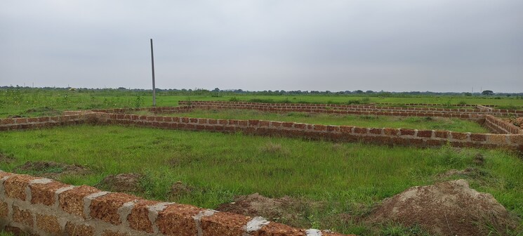 undefined, patrapada  1828 Sq.Ft. Plot In Patrapada Bhubaneswar 8895373