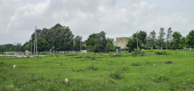 Garden, devlali  1349 Sq.Yd. Plot In Devlali Nashik 8895513