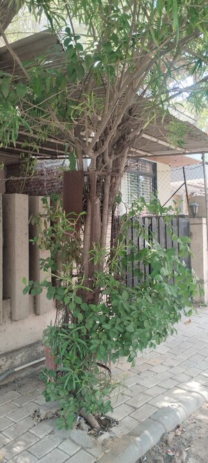 Balcony in 4 BHK Villa at Paldi – for Sale