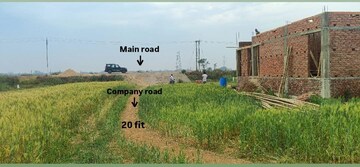 Plot Area in  Plot at Khusrupur – for Sale