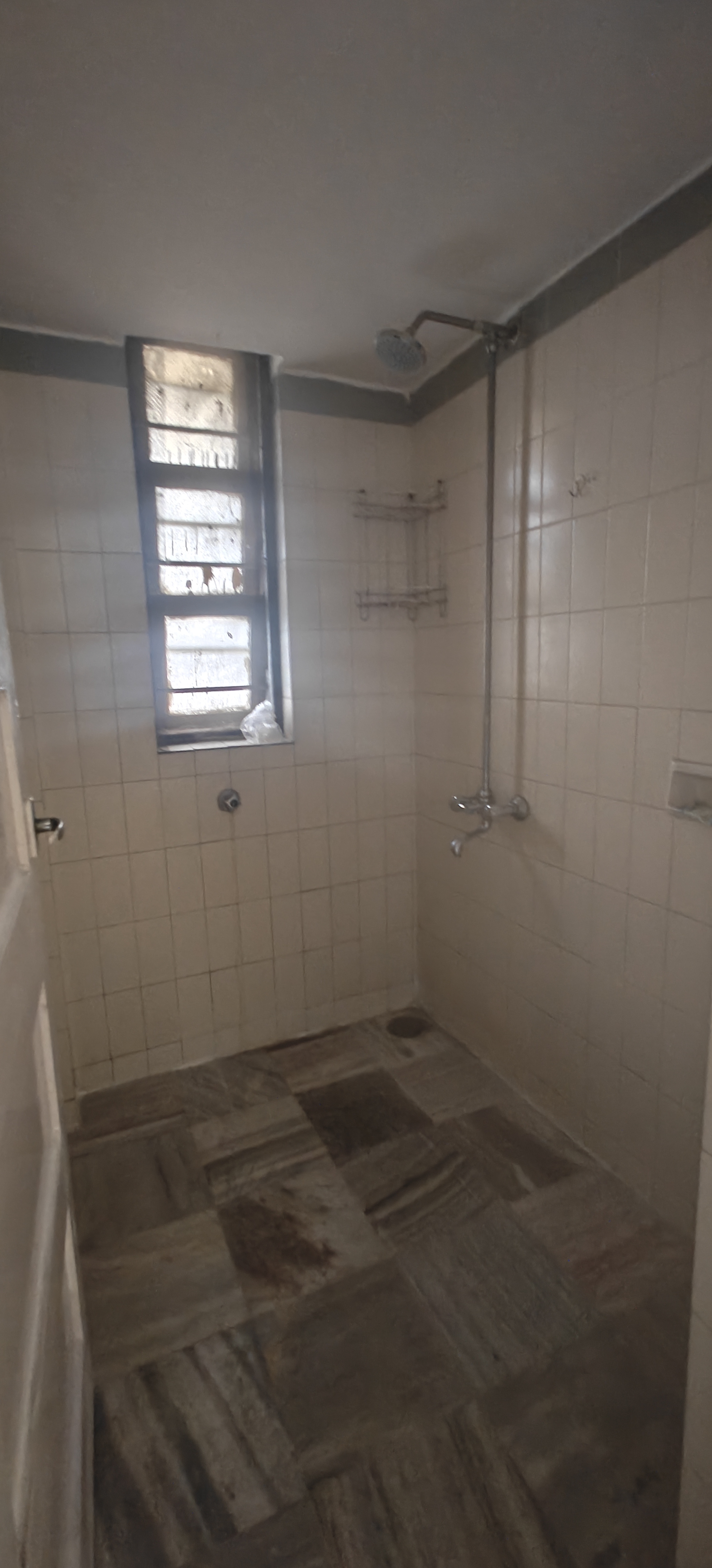 1 BHK Apartment For Rent in Evening Glory