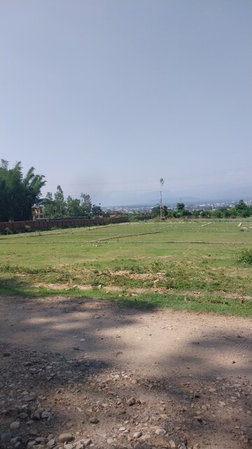 Plot Area in  Plot at Badowala – for Sale