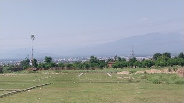  Plot For Sale in Badowala