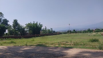 Plot Area in  Plot at Badowala – for Sale