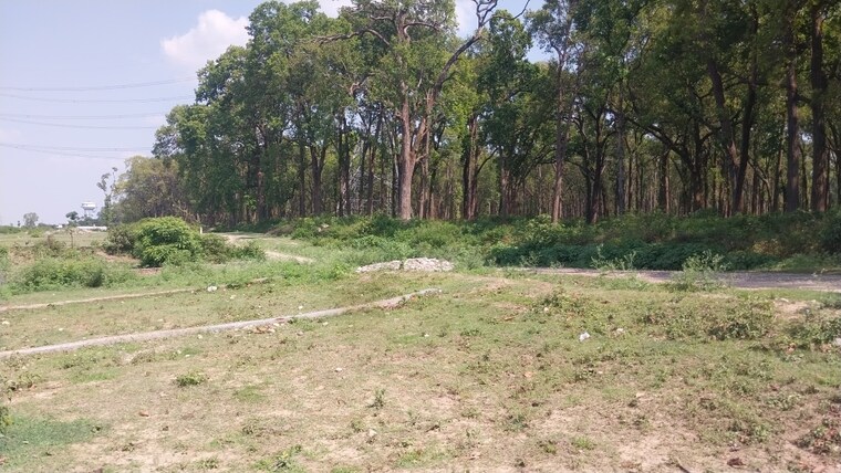 undefined, badowala  153 Sq.Yd. Plot In Badowala Dehradun 8896261