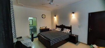 2.5 BHK Apartment For Rent in SRS Royal Hills, Sector 87