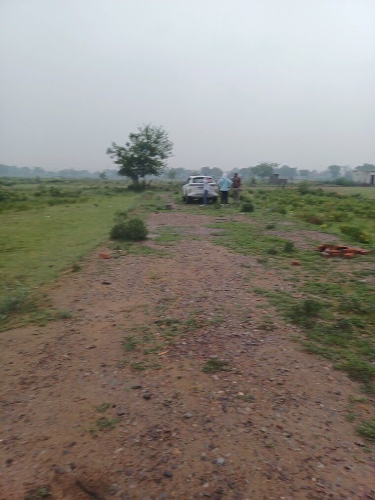 Garden, jajru  54 Sq.Yd. Plot In Jajru Faridabad 8896374