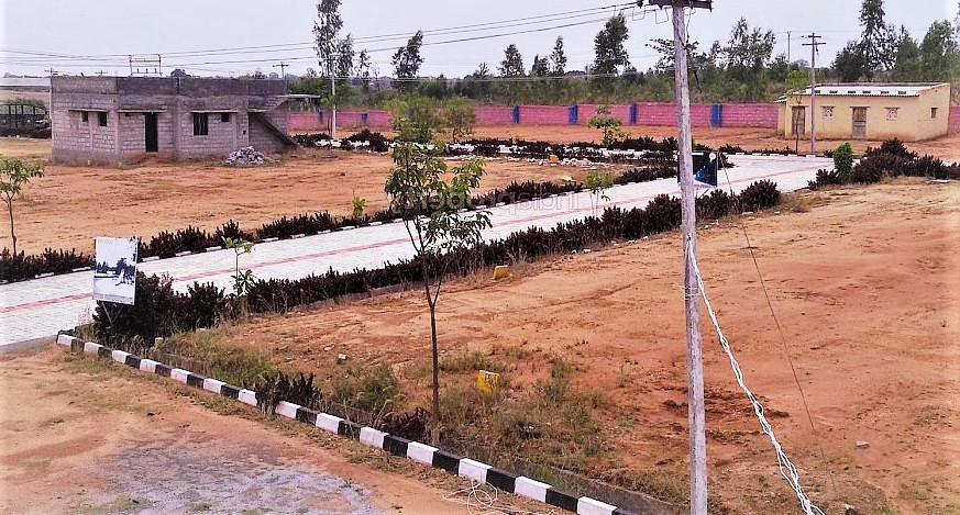 Plot For Sale in Sector 142