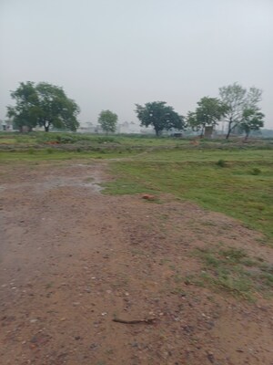  Plot For Sale in Jajru