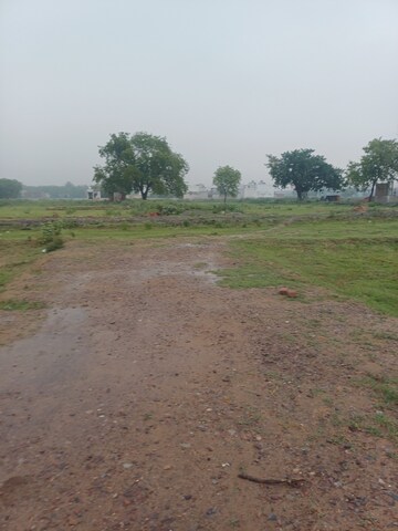 Plot Area in  Plot at Jajru – for Sale