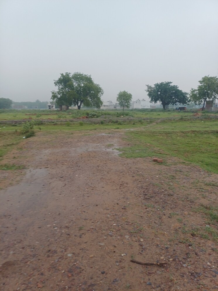 undefined, jajru  57 Sq.Yd. Plot In Jajru Faridabad 8896581