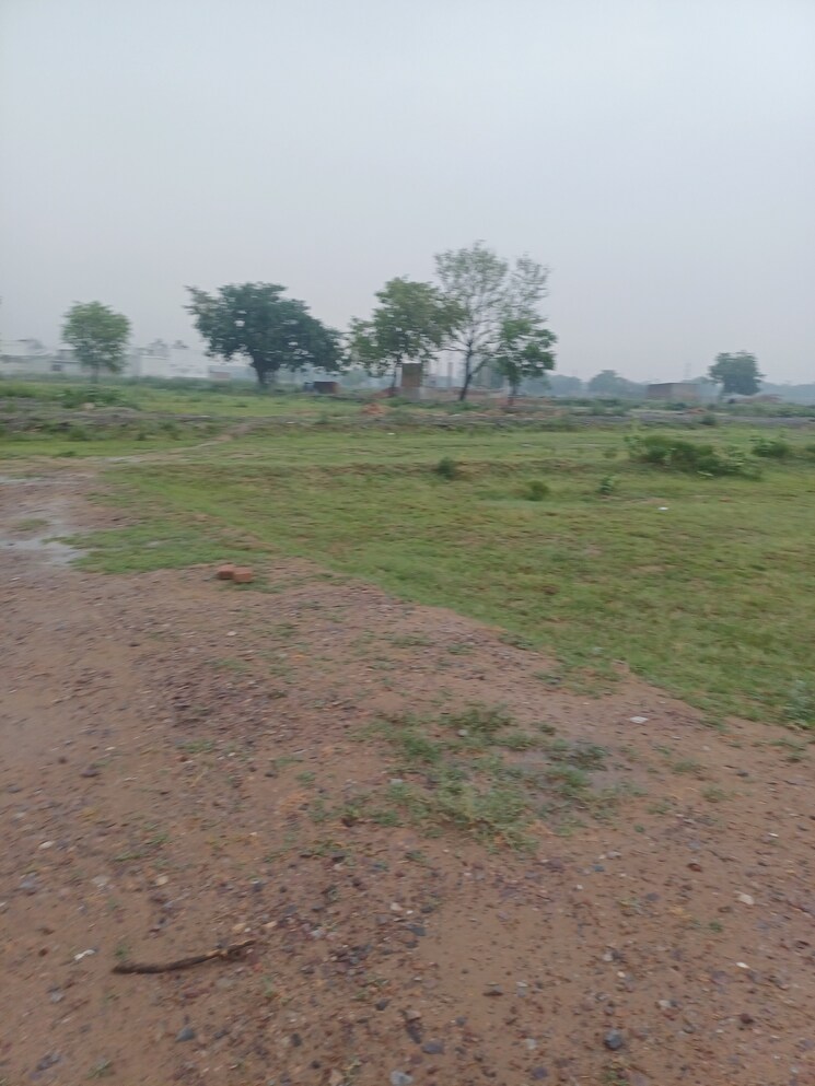 Garden, jajru  58 Sq.Yd. Plot In Jajru Faridabad 8896624
