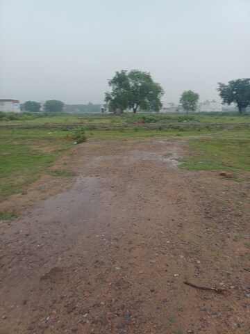 Plot Area in  Plot at Jajru – for Sale