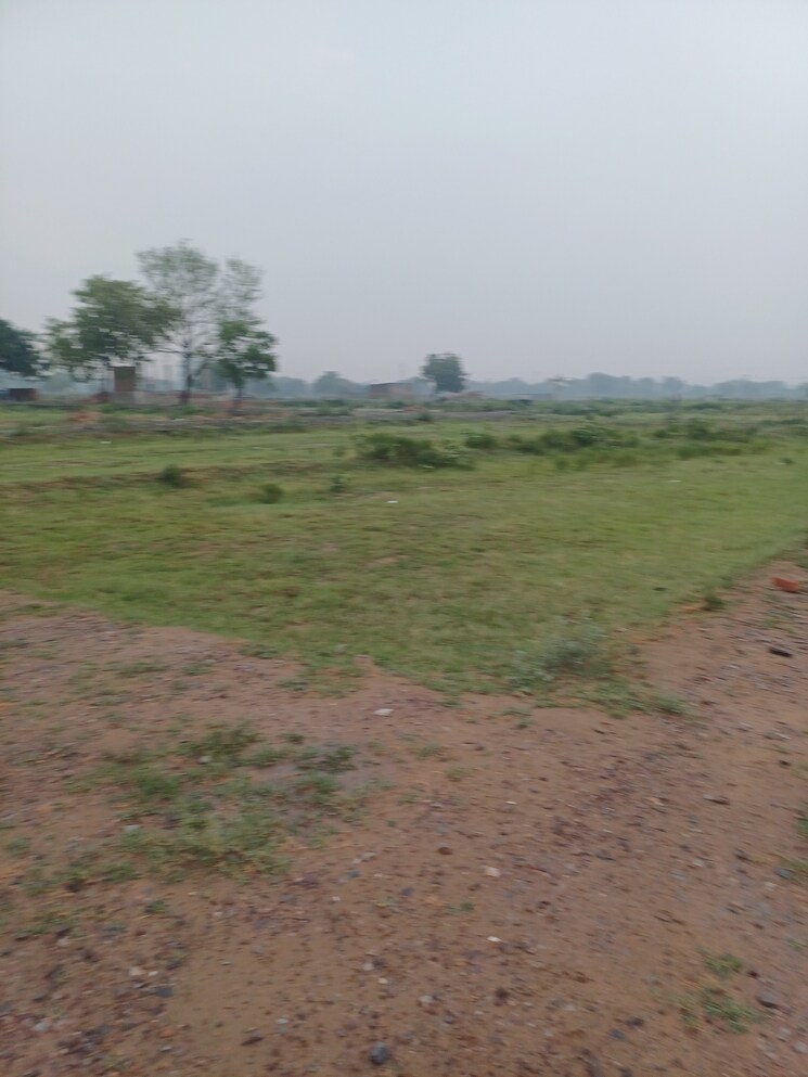 Garden, jajru  58 Sq.Yd. Plot In Jajru Faridabad 8896624