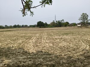  Land For Sale in Nigohan