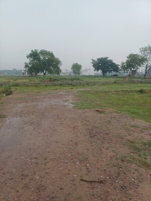 Plot Area in  Plot at Jajru – for Sale