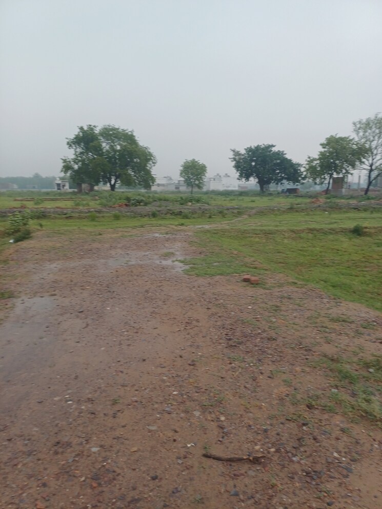 undefined, jajru  59 Sq.Yd. Plot In Jajru Faridabad 8896657