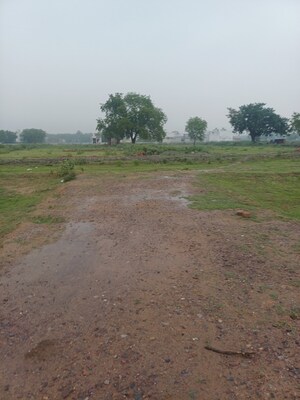 Plot Area in  Plot at Jajru – for Sale