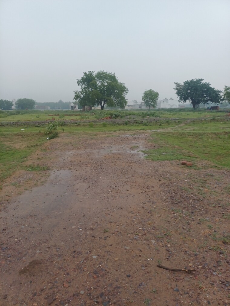 undefined, jajru  59 Sq.Yd. Plot In Jajru Faridabad 8896657