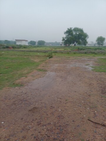 Plot Area in  Plot at Jajru – for Sale
