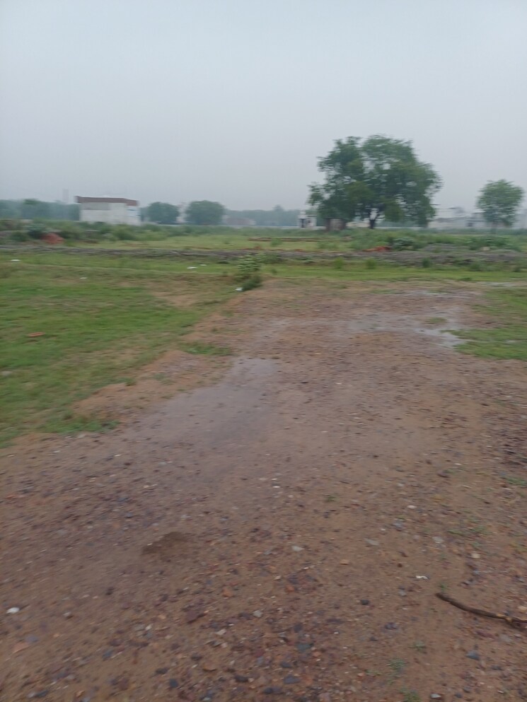 undefined, jajru  60 Sq.Yd. Plot In Jajru Faridabad 8896689