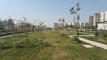 Plot Area in 4 BHK Builder Floor at BPTP Parkland Pride, Sector 77 – for Rent