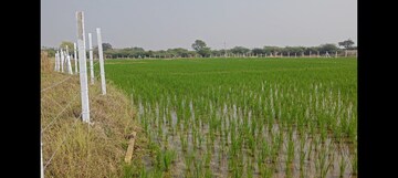  Plot For Sale in Dakoor