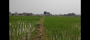 Plot Area in  Plot at Dakoor – for Sale