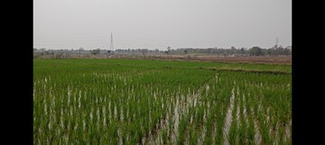 Plot Area in  Plot at Dakoor – for Sale