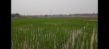Plot Area in  Plot at Dakoor – for Sale